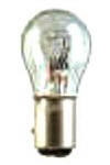 European Bulbs  #7207528